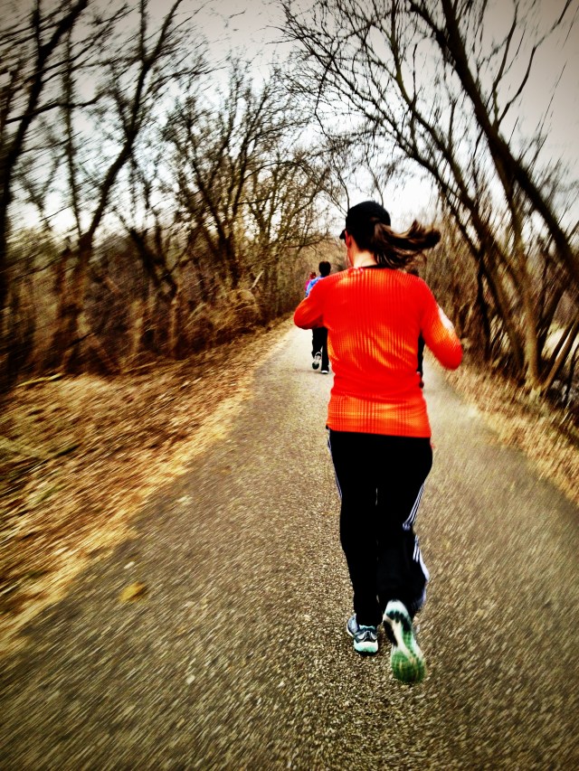 Glacial Drumlin Trail