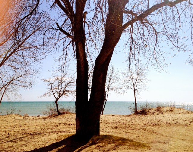 The view for miles 20-24.  Beautiful!