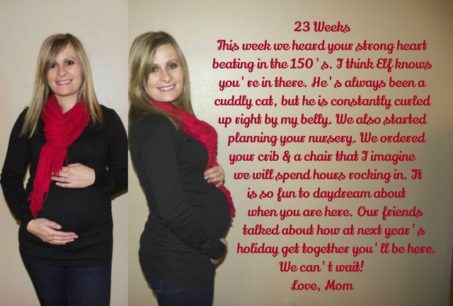 23 Weeks-Maternity Journal 2