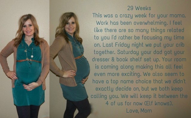 29 Weeks-Maternity Journal